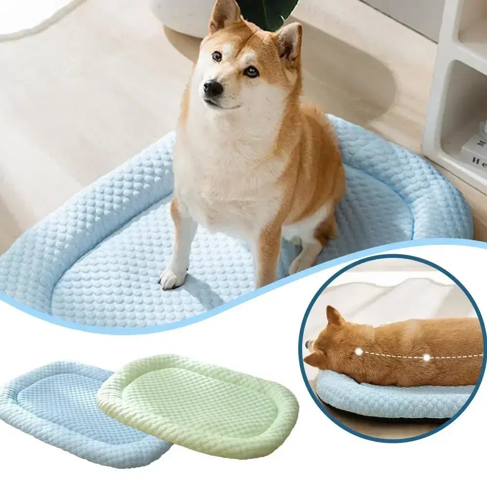 Kühlendes Hundebett Oval – Komfortables Hundekissen für Kleine und Große Hunde 3