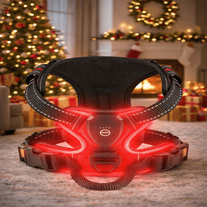 LUMIDOG – Wiederaufladbares LED-Hundegeschirr für mehr Sicherheit bei Nacht 0