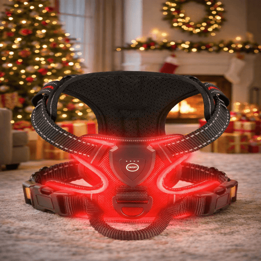 LUMIDOG – Wiederaufladbares LED-Hundegeschirr für mehr Sicherheit bei Nacht 0