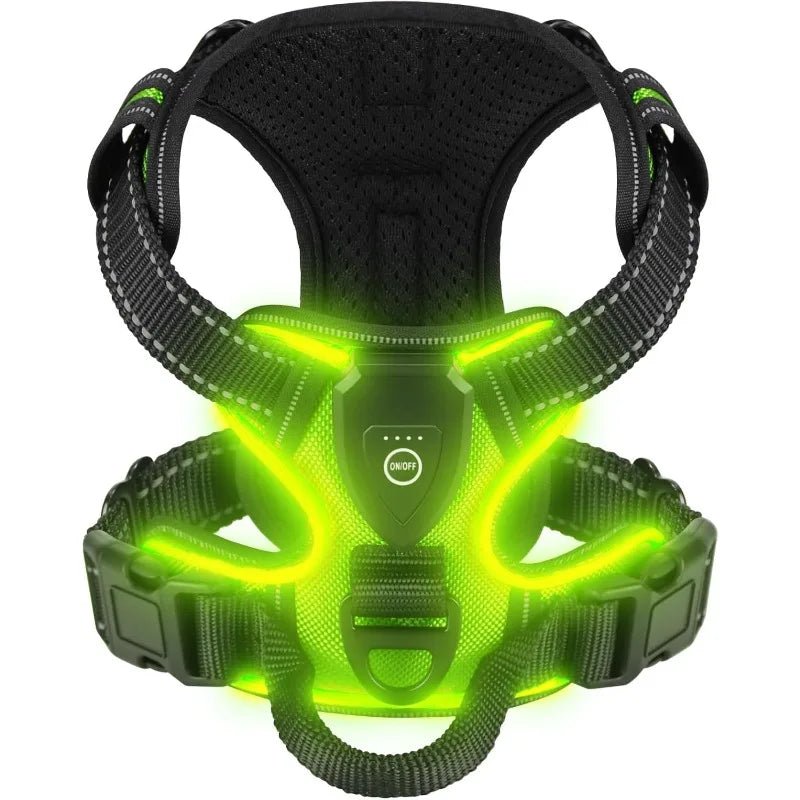 LUMIDOG – Wiederaufladbares LED-Hundegeschirr für mehr Sicherheit bei Nacht 2