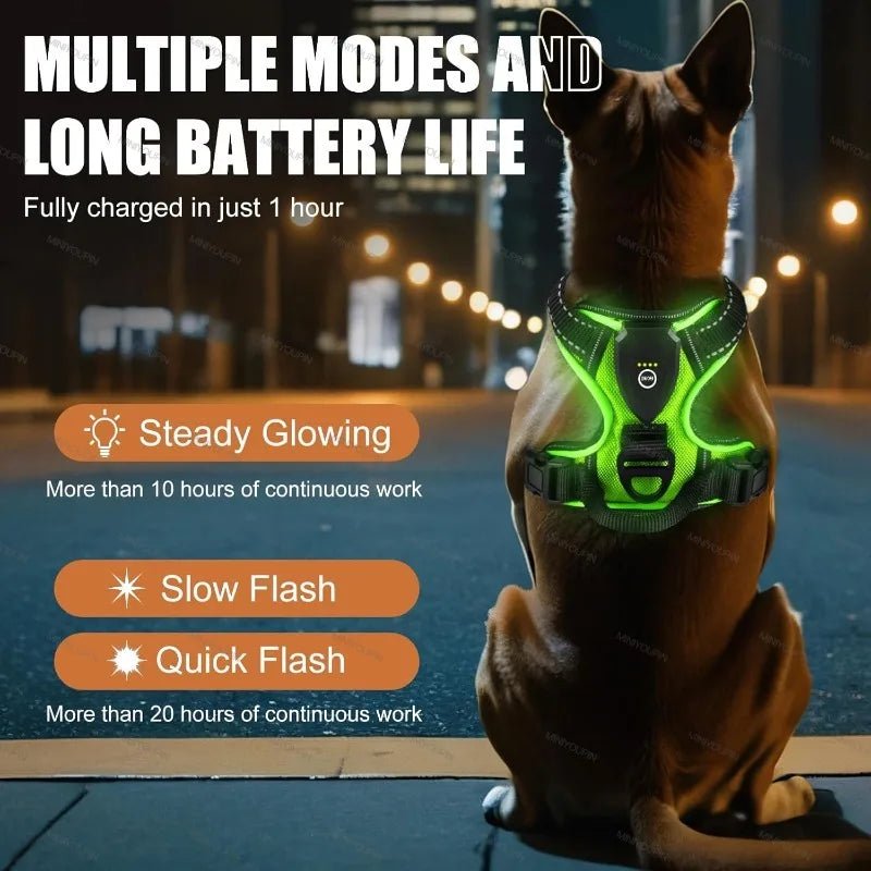 LUMIDOG – Wiederaufladbares LED-Hundegeschirr für mehr Sicherheit bei Nacht 3