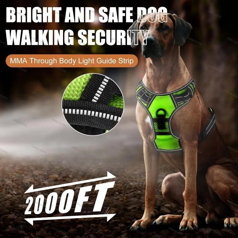 LUMIDOG – Wiederaufladbares LED-Hundegeschirr für mehr Sicherheit bei Nacht 4