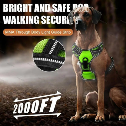 LUMIDOG – Wiederaufladbares LED-Hundegeschirr für mehr Sicherheit bei Nacht 4
