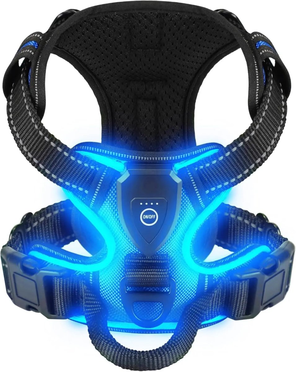 LUMIDOG – Wiederaufladbares LED-Hundegeschirr für mehr Sicherheit bei Nacht 8