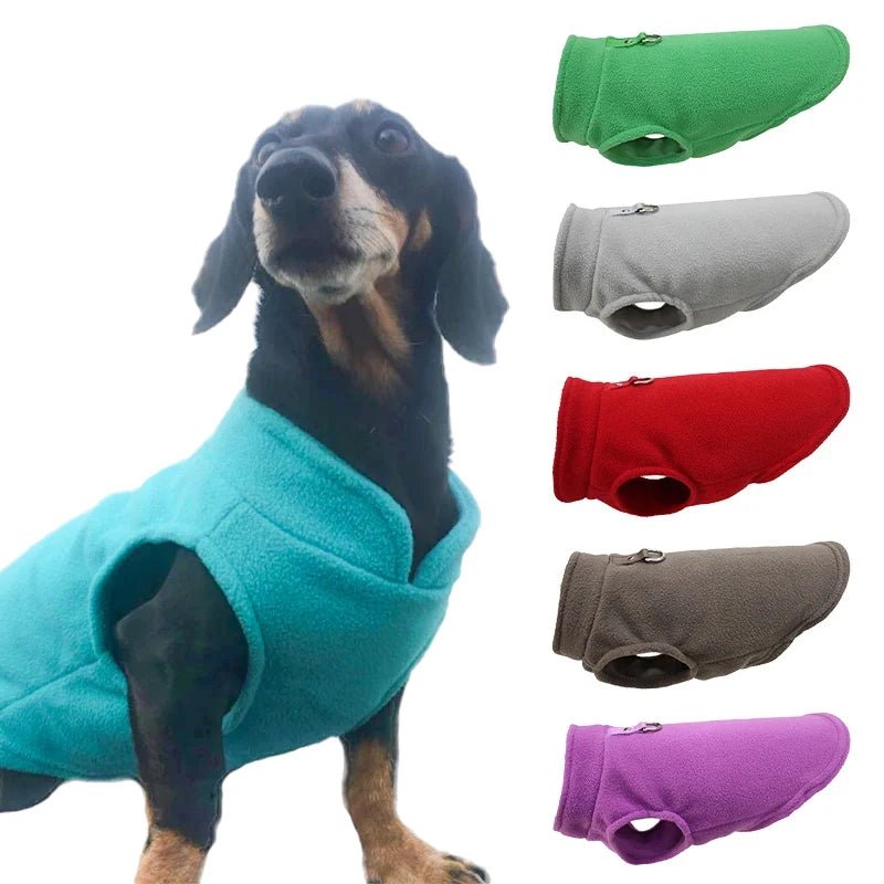 PETSNUG – Chaleco cálido para perro con anilla en D y forro de polar