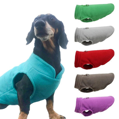 PETSNUG – Chaleco cálido para perro con anilla en D y forro de polar