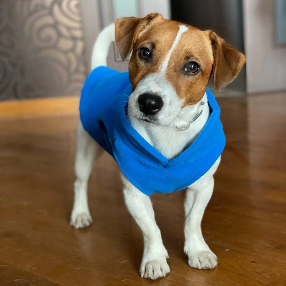 PETSNUG – Chaleco cálido para perro con anilla en D y forro de polar
