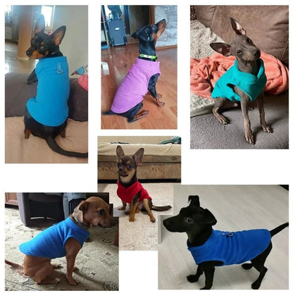 PETSNUG – Chaleco cálido para perro con anilla en D y forro de polar