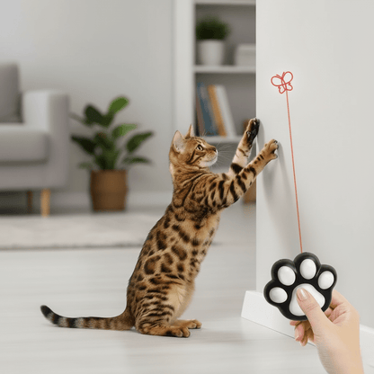 FELIFUN – Interaktives Katzen-Laserspielzeug – 5 einstellbare Lichtmuster