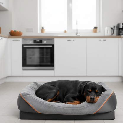 LEVAPET – Wasserfestes orthopädisches Hundebett mit erhöhtem Kissen & Memoryschaum-Unterstützung