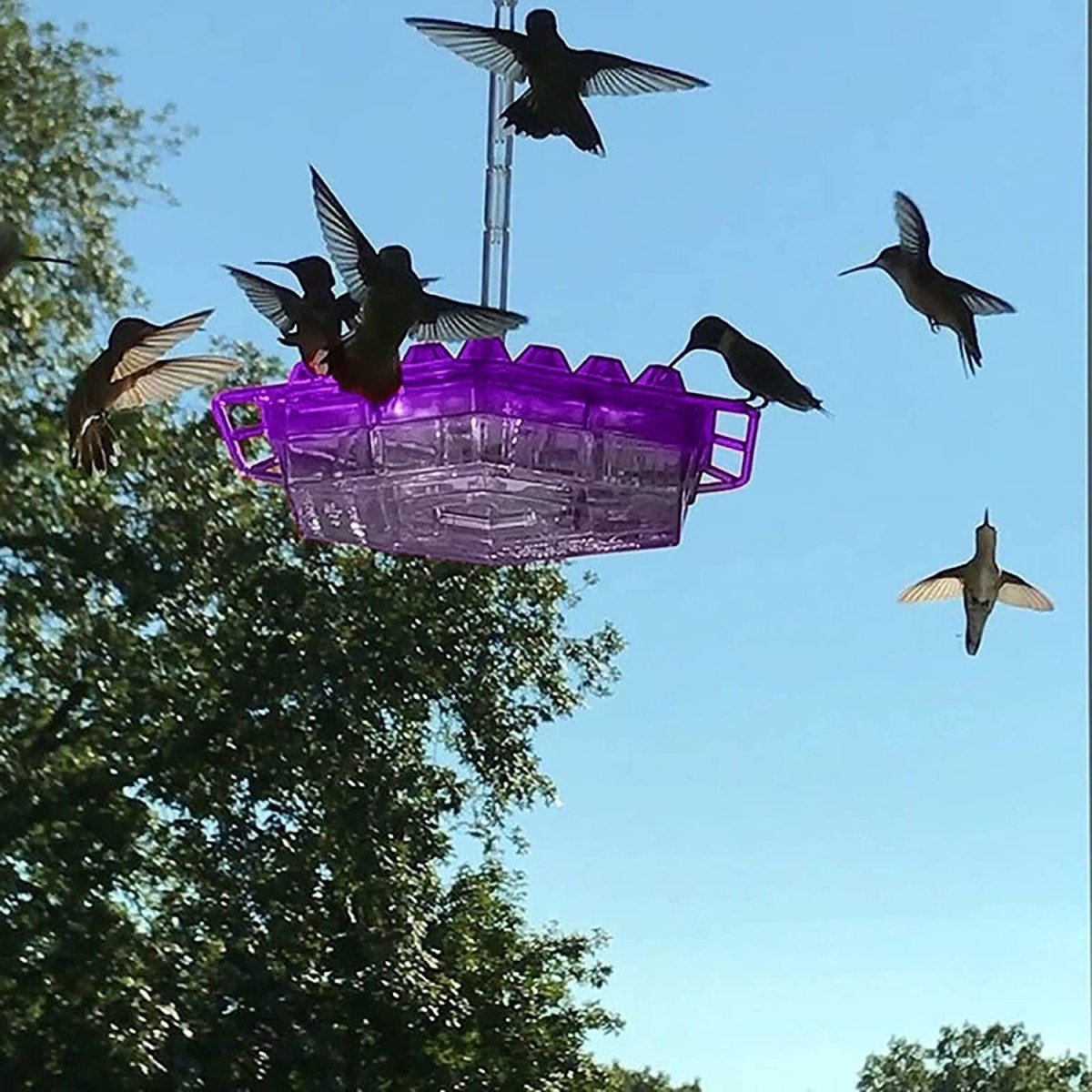 Mary's Feeders - Ameisensicherer Kolibri-Futterspender mit 30 Öffnungen 0
