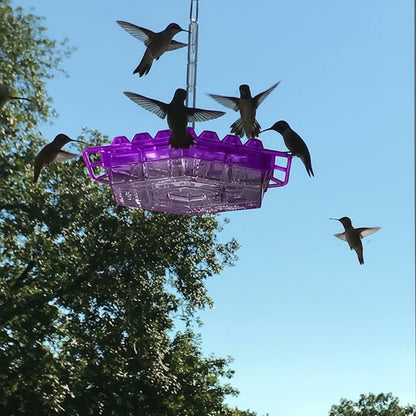 Mary's Feeders - Ameisensicherer Kolibri-Futterspender mit 30 Öffnungen 2