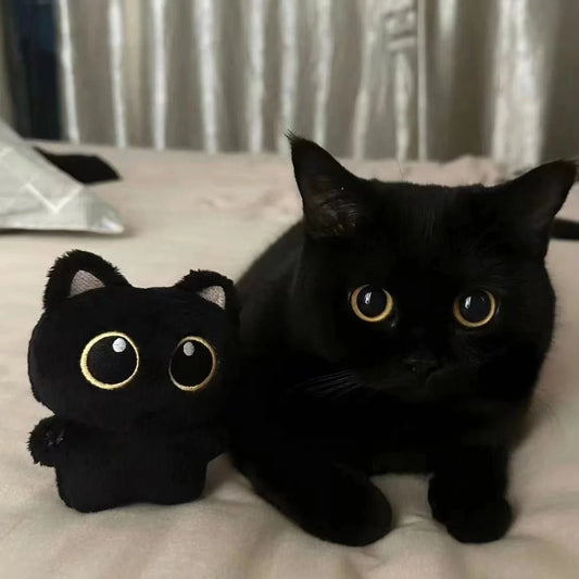 SNUGTAIL – Compact Plush Toy for Children