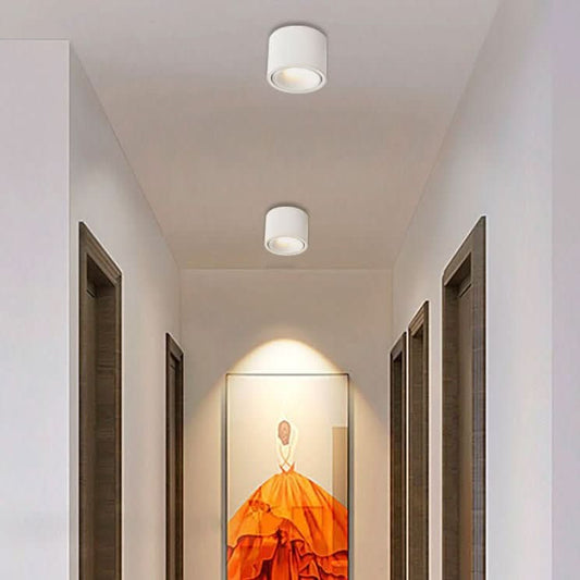 MINISPOT LED – Minimalistische Deckenleuchte mit verstellbarem Lichtspot