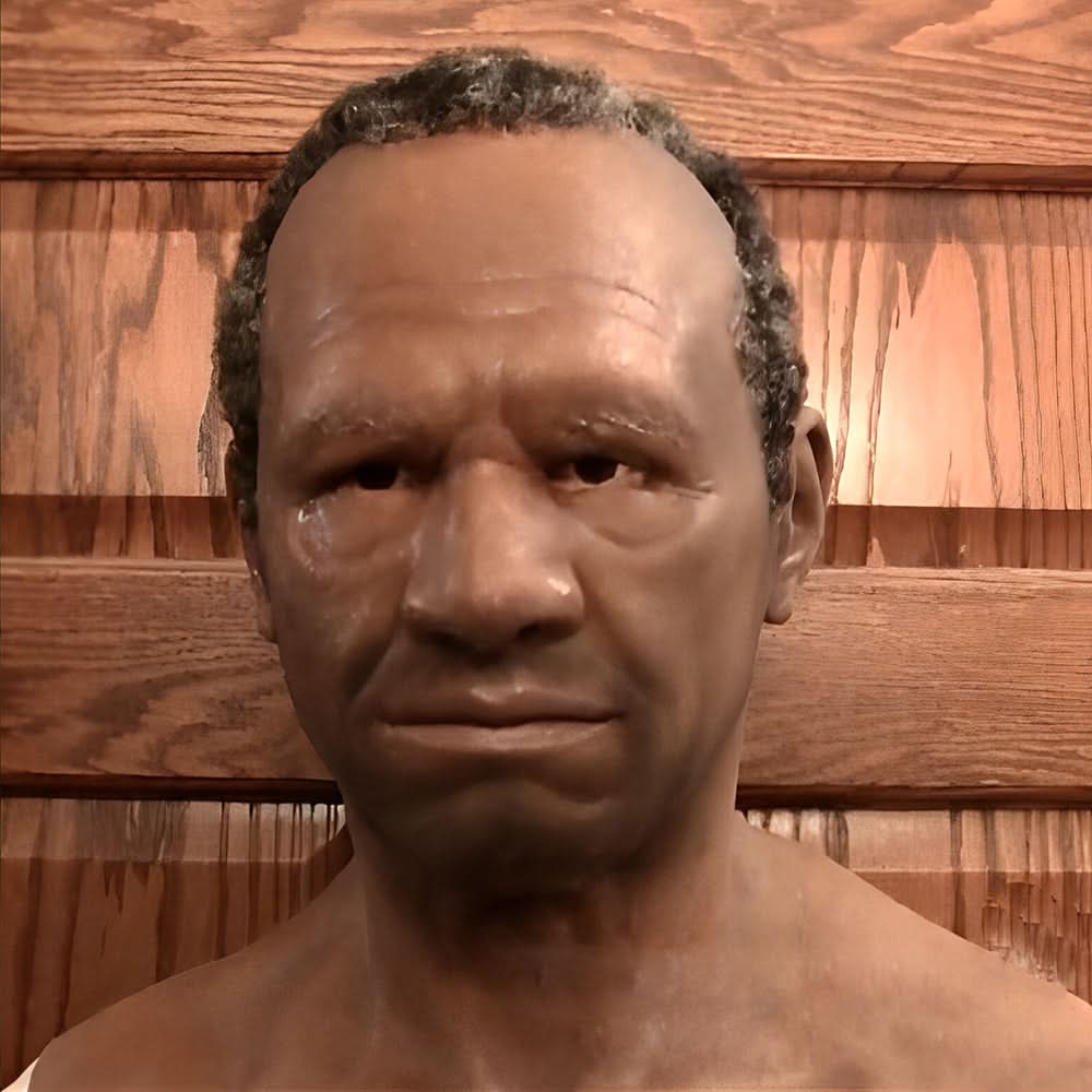 Morpheus Max 2025 – 100 % Naturlatex für längeren Komfort 7