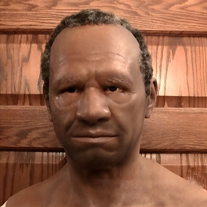 Morpheus Max 2025 – 100 % Naturlatex für längeren Komfort 7