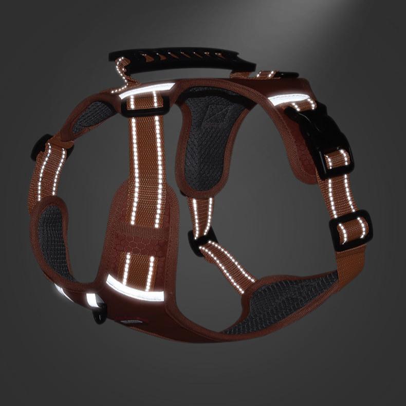  Walkease ™ der bequeme Hundehalsband-6