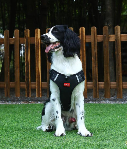  Walkease ™ der bequeme Hundehalsband-5