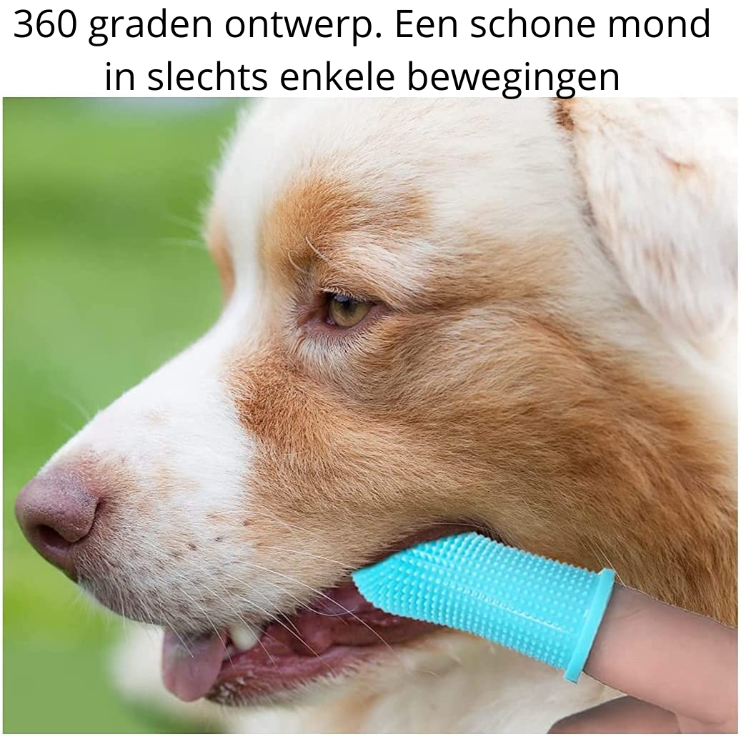 Paw Clean Pro - Safe Dog Dental Care für Zuhause-4