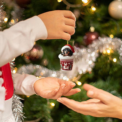 PAWJOY – 24-Tage-Weihnachts-Adventskalender mit Dackel-Zubehör 3