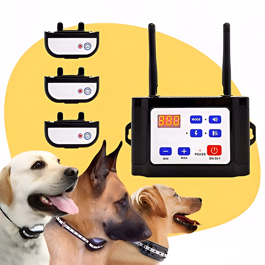 BARKZONE 300 – Kabelloses Hundezaun- & Trainingshalsband-System
