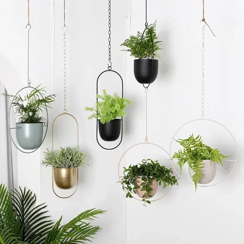 PLANTFORM – More modern, minimalist wall hanging with adjustable chain for a clear interior 2