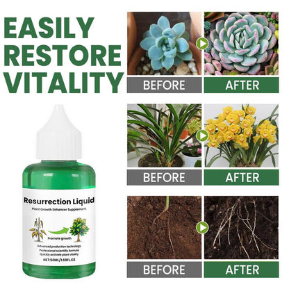 GROWESSENCE – Plant Tonic for Healthy Growth and Regeneration
