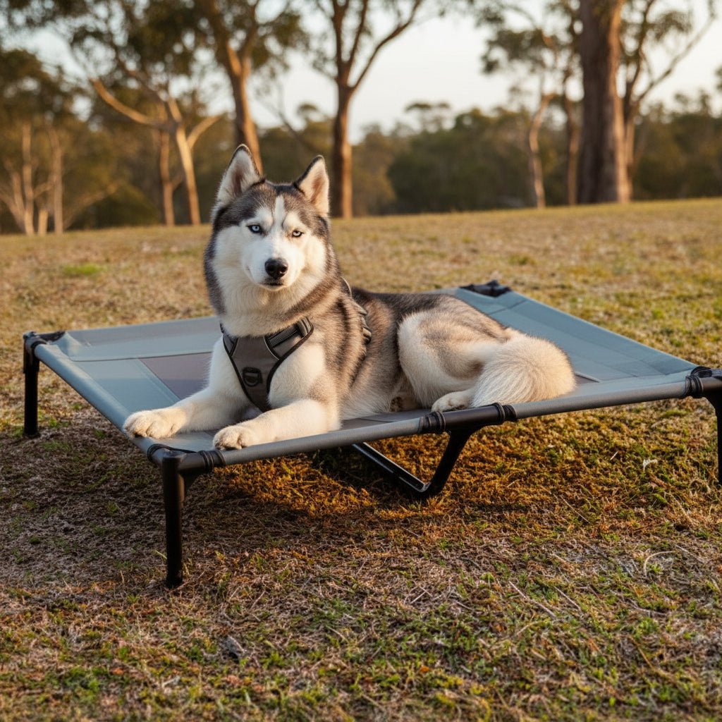 PAWAIR – Lit surélevé pour chien avec tapis rafraîchissant et protection UV pour un confort en extérieur