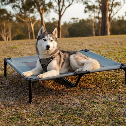 PAWAIR – Lit surélevé pour chien avec tapis rafraîchissant et protection UV pour un confort en extérieur