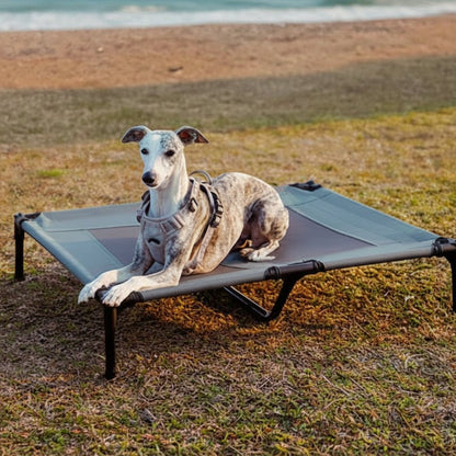 PAWAIR – Lit surélevé pour chien avec tapis rafraîchissant et protection UV pour un confort en extérieur