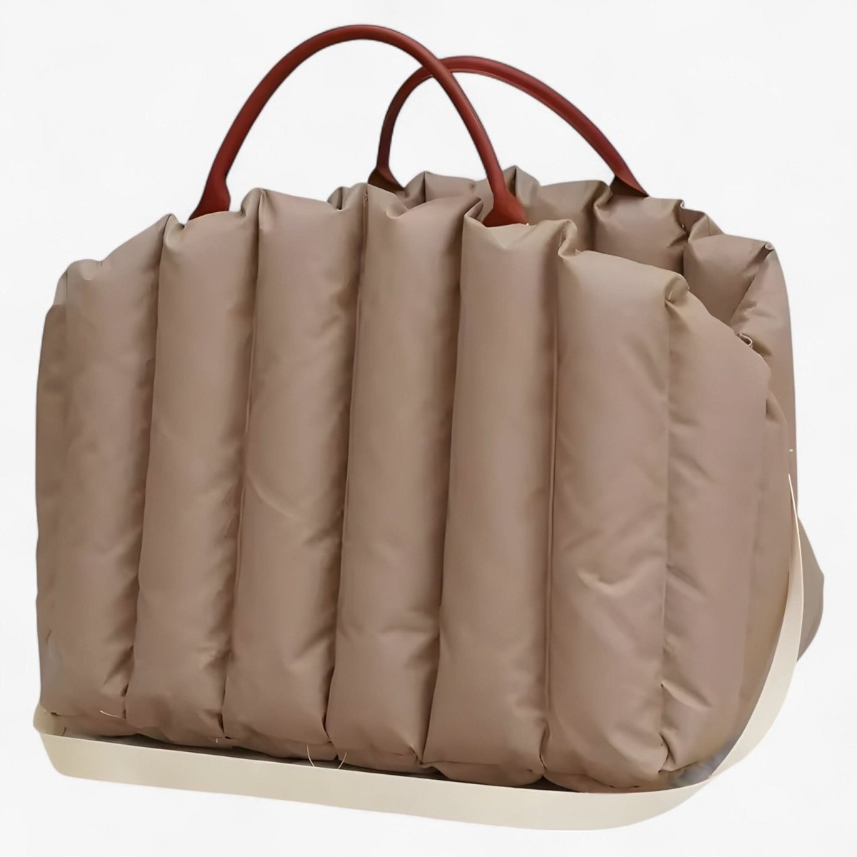 PawWalker Go – Leichtes Design für müheloses Tragen 3