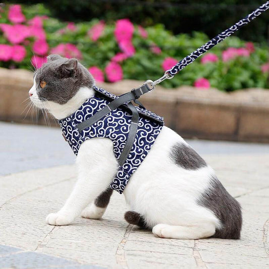 PAWVENTURE – Cat Harness Vest for Safety & Comfort