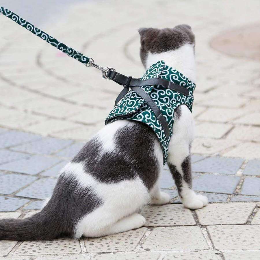 PAWVENTURE – Chaleco arnés para gatos para seguridad y comodidad