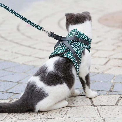 PAWVENTURE – Chaleco arnés para gatos para seguridad y comodidad