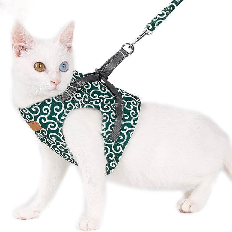 PAWVENTURE – Chaleco arnés para gatos para seguridad y comodidad
