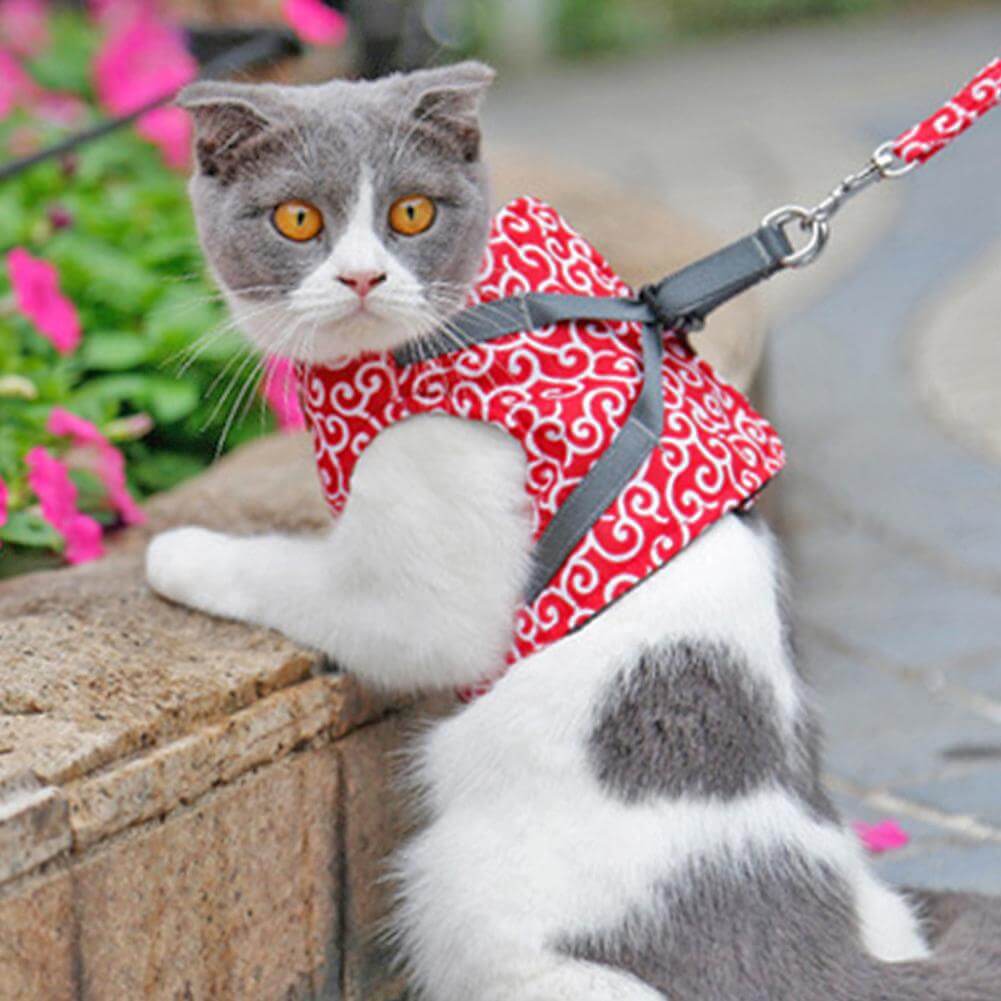 PAWVENTURE – Chaleco arnés para gatos para seguridad y comodidad