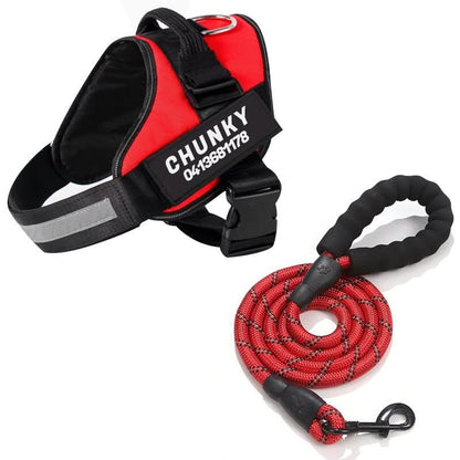 DOGSAFE HARNESS - Personalisable dog harness for comfort & safety