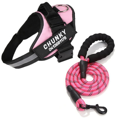 DOGSAFE HARNESS - Personalisable dog harness for comfort & safety