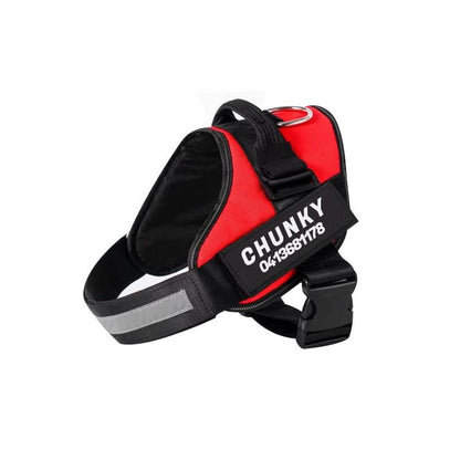 DOGSAFE HARNESS - Personalisable dog harness for comfort & safety