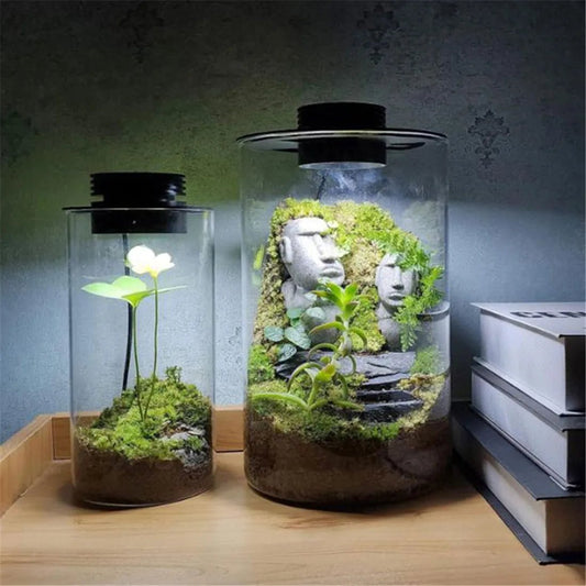 Pflanzenlampe LED Vollspektrum mit Timer und USB-Anschluss für Terrarien 5