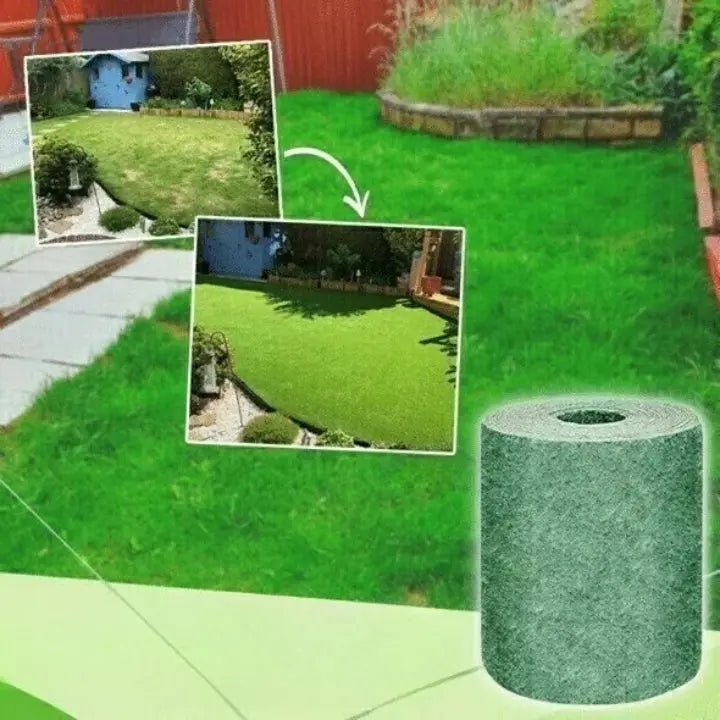 GRASSGO – Paquet double de tapis de gazon à dérouler, arroser et laisser pousser