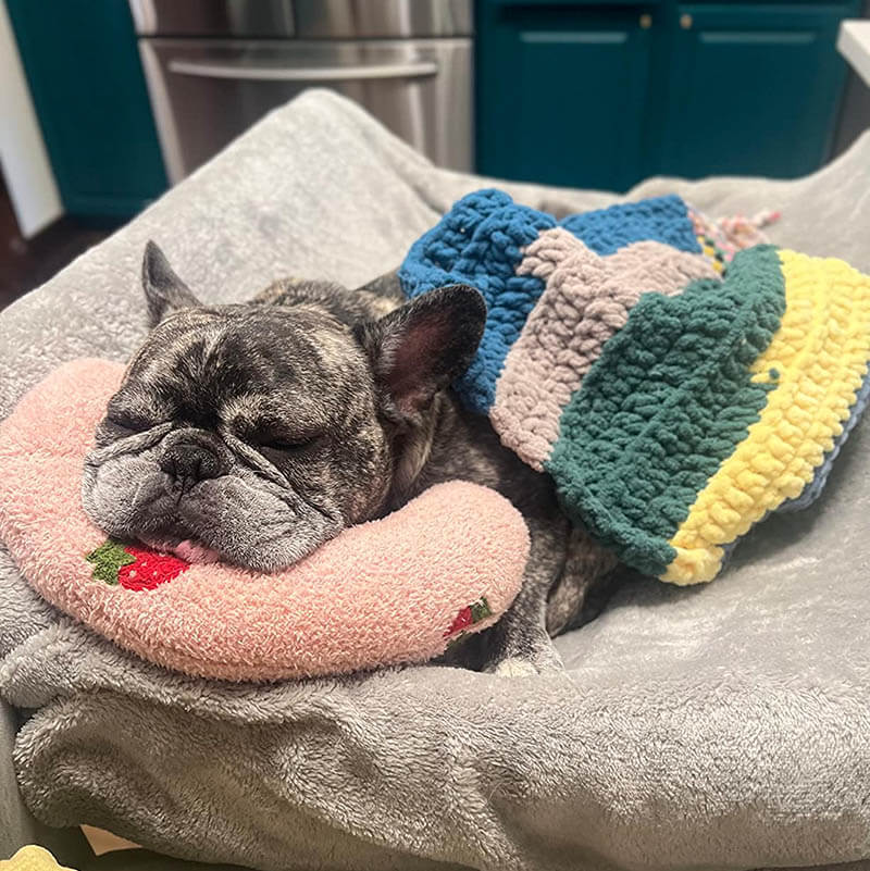 Petease Luxus - orthopädisches Hundkissen für Komfort-6