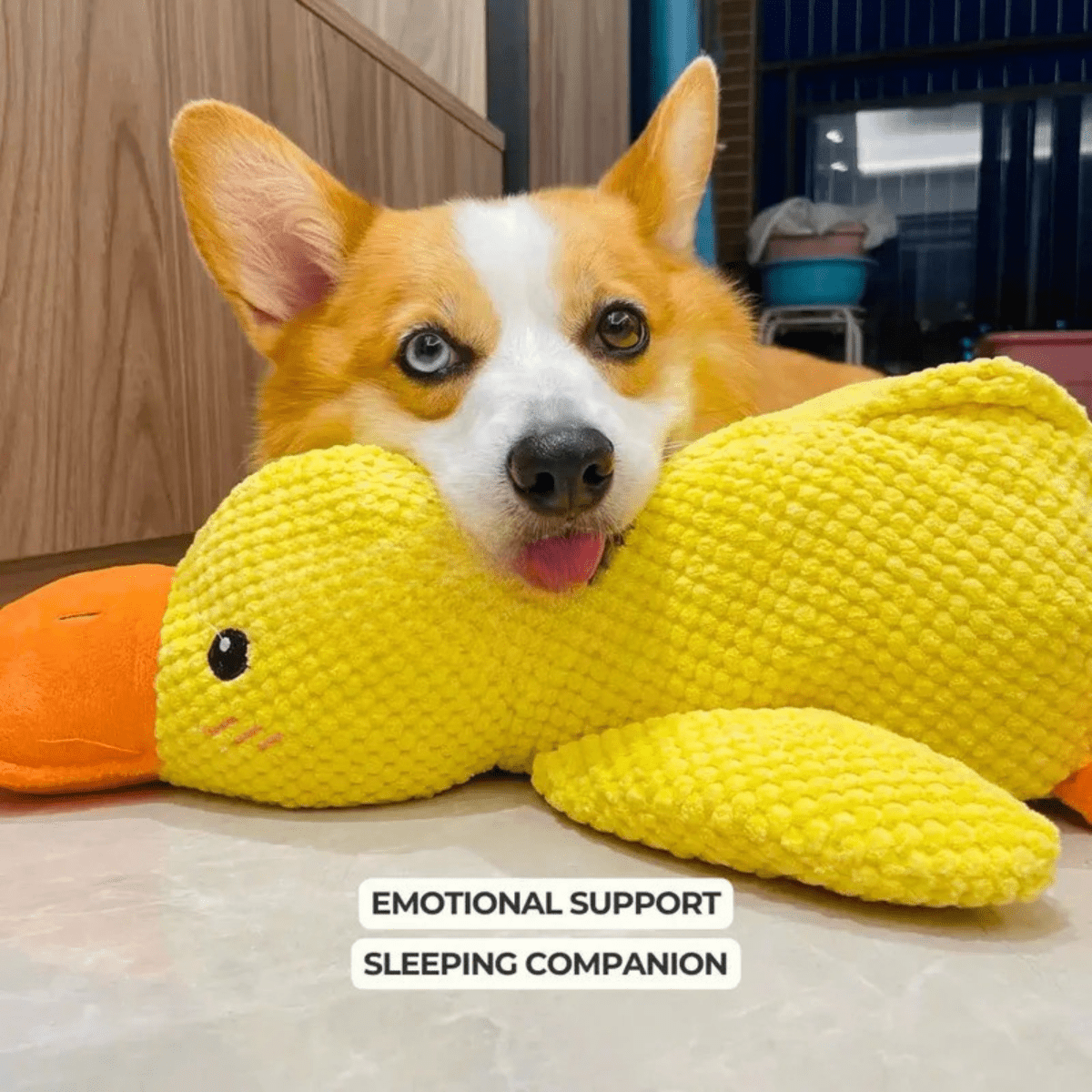 PawVerve Plush Chew Toy for Dogs | Soft Squeaky Toy for Playful and Relaxed Pets
