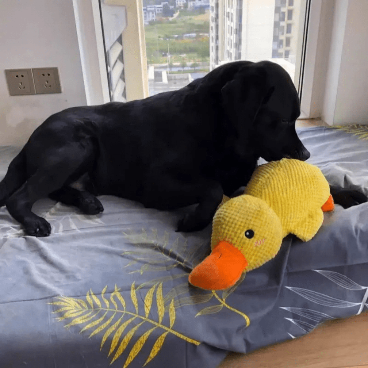PawVerve Plush Chew Toy for Dogs | Soft Squeaky Toy for Playful and Relaxed Pets