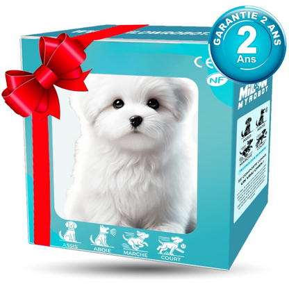 Interactive Plush Robot Dog - Chien jouet réaliste avec bruit & mouvement pour enfants