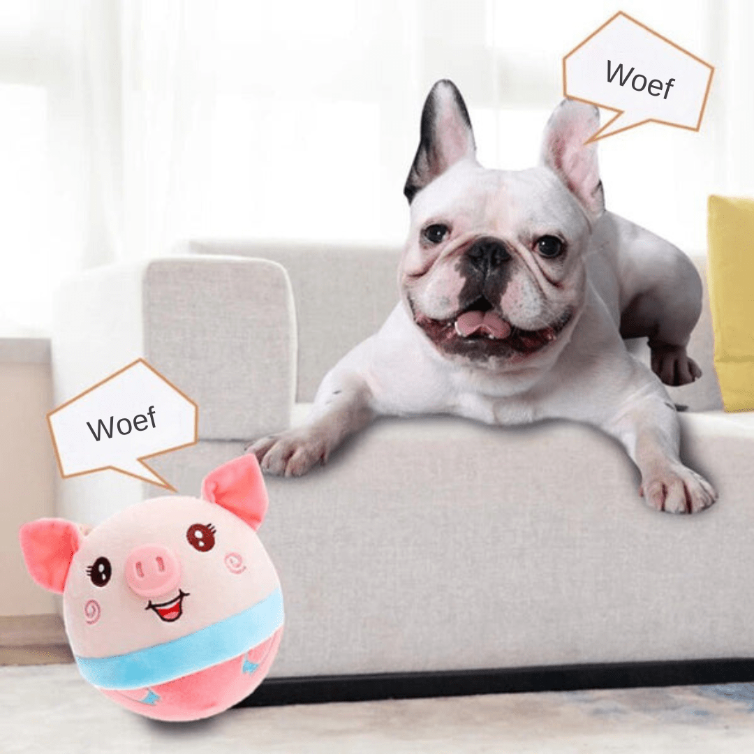 Rover Active Hundespielzeug mit Bewegung | Intelligenter interaktiver Ball | Automatisches Bewegungsspielzeug für Hunde | Wiederaufladbar | Bewegung und Spaß für Ihr Haustier 4