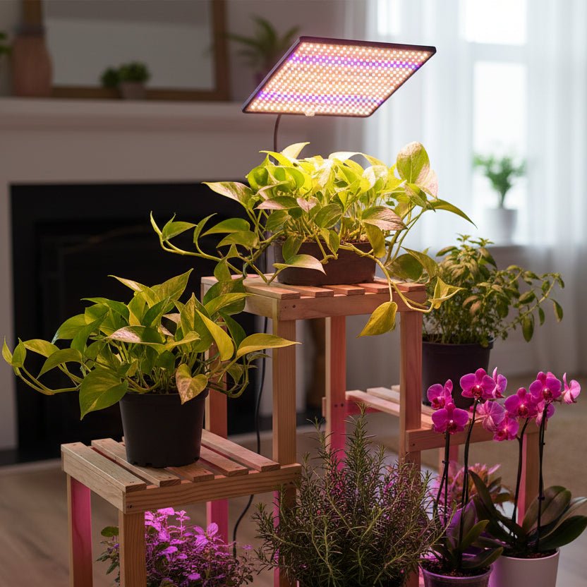 PLANTBEAM – Luce a LED a spettro completo 1200W per la crescita delle piante indoor