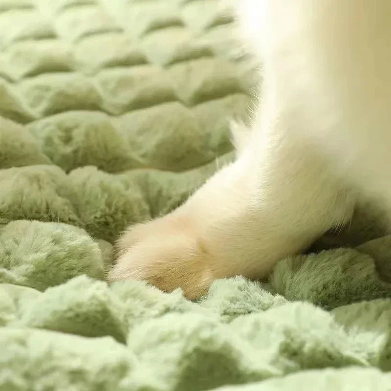 PETSOFT – Orthopädisches Hundebett mit abnehmbarem Bezug