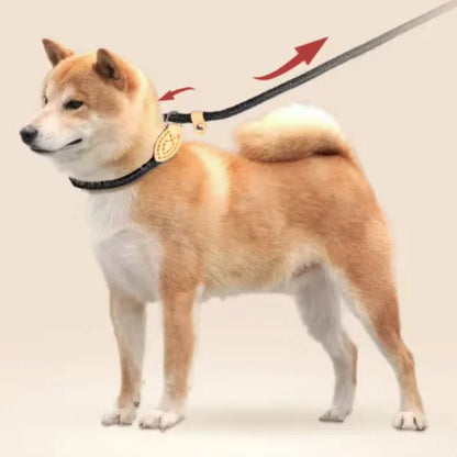 COLORLEASH – Colorful Dog Leash for Stylish Walks