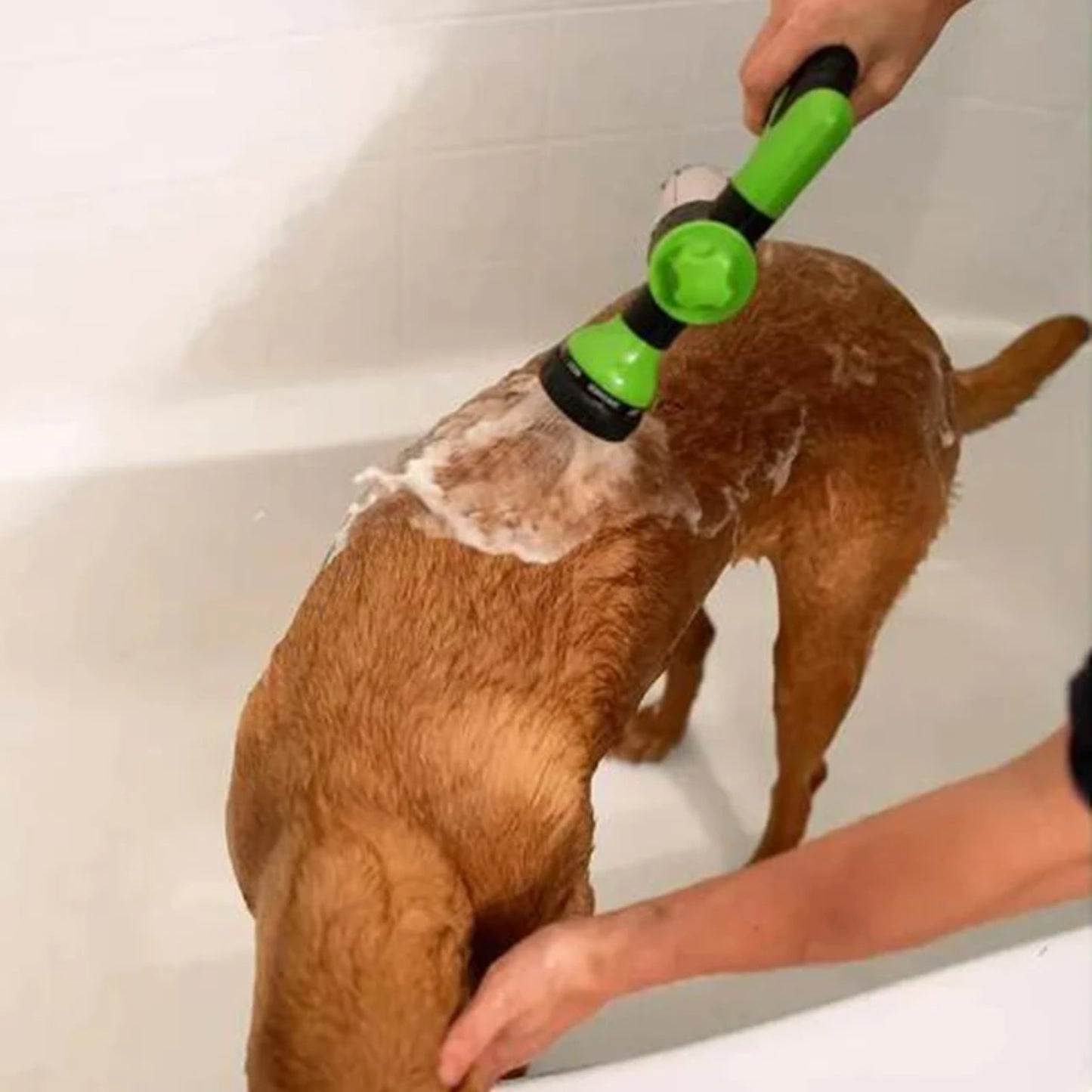 PetWash 360° pet bath spray - User-friendly & effective for a stress-free bathing experience